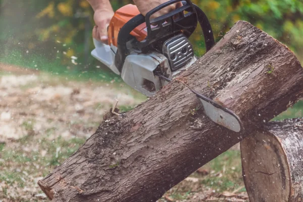 man-jointing-a-tree-trunk-with-a-motor-saw-2026-03-09-06-34-33-utc[1]
